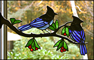 Steller's Jay in Stained Glass with berries by Chippaway Art Glass