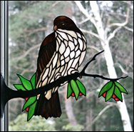 Stained Glass Red Tail Hawk by Chippaway Art Glass