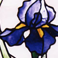 Iris Flower in Stained Glass